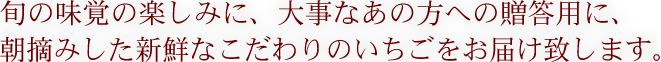 旬の味覚の楽しみに、大事なあの方への贈答用に、朝摘みした新鮮なこだわりのいちごをお届け致します。