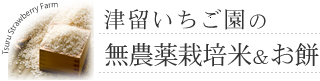 無農薬栽培米＆お餅｜津留いちご園｜筑後の甘くておいしいイチゴを育て