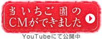 津留いちご園のCM