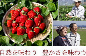 美味しさの秘密