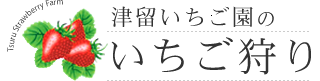 津留いちご園の