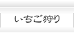 いちご狩り（要予約）