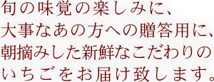 料金