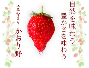 津留いちご園